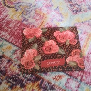 ColourPop Empty Palette